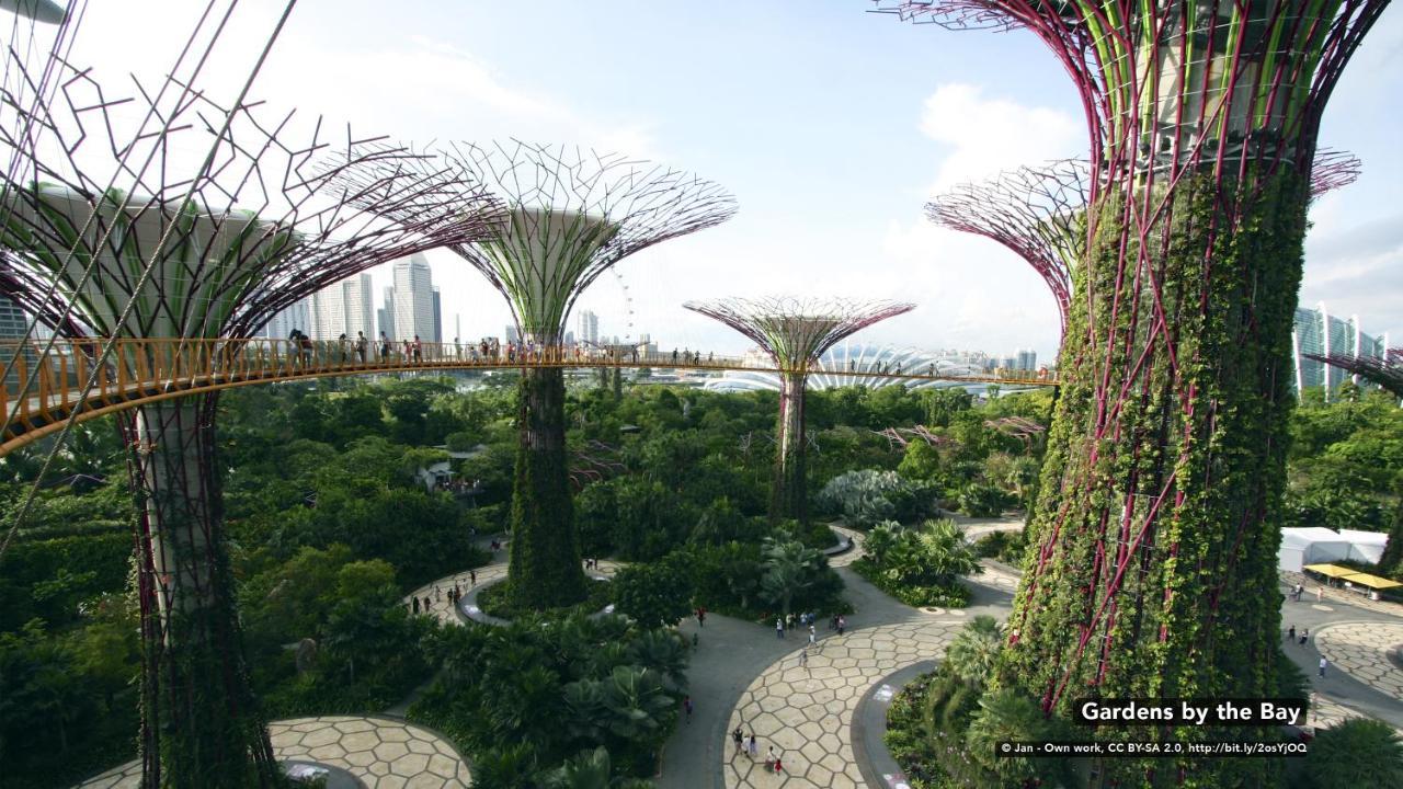 Diamond Hotel Singapore Bagian luar foto